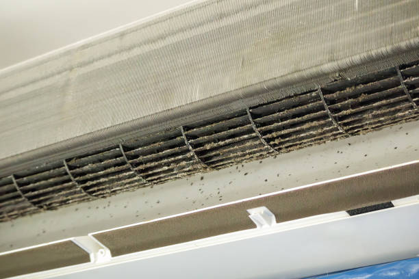 Best Affordable Duct Cleaning Services  in Dillsburg, PA